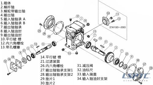 EW构造